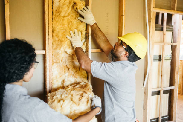 Best Soundproof Insulation  in Denver City, TX